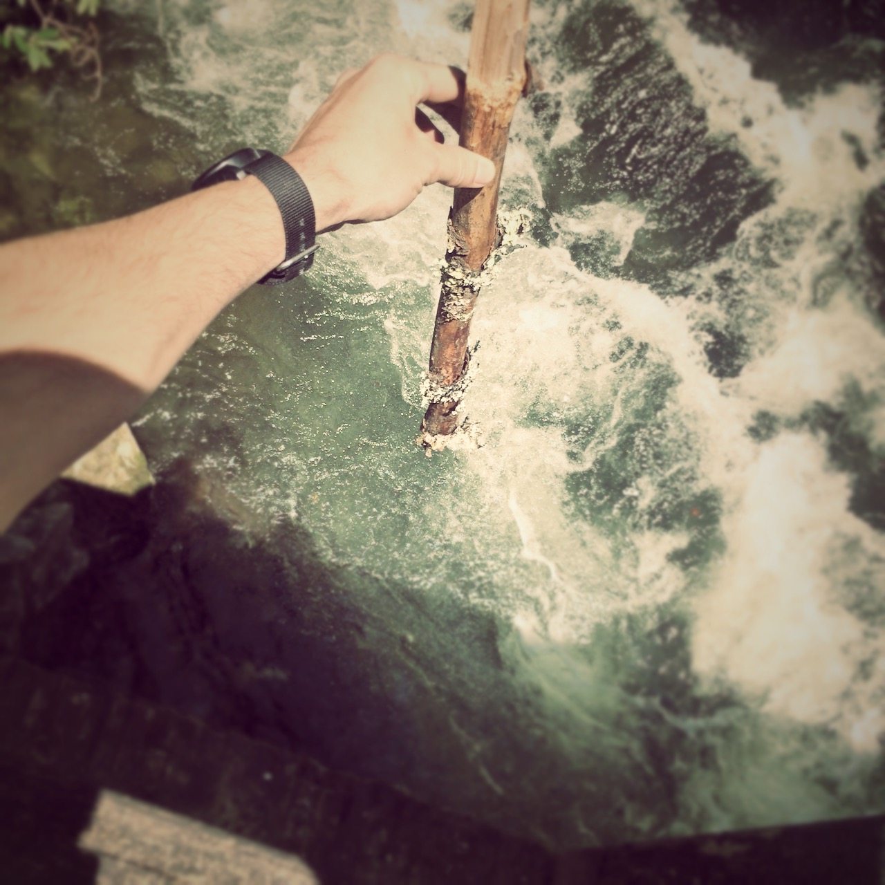 Pooh Sticks at Deep Creek