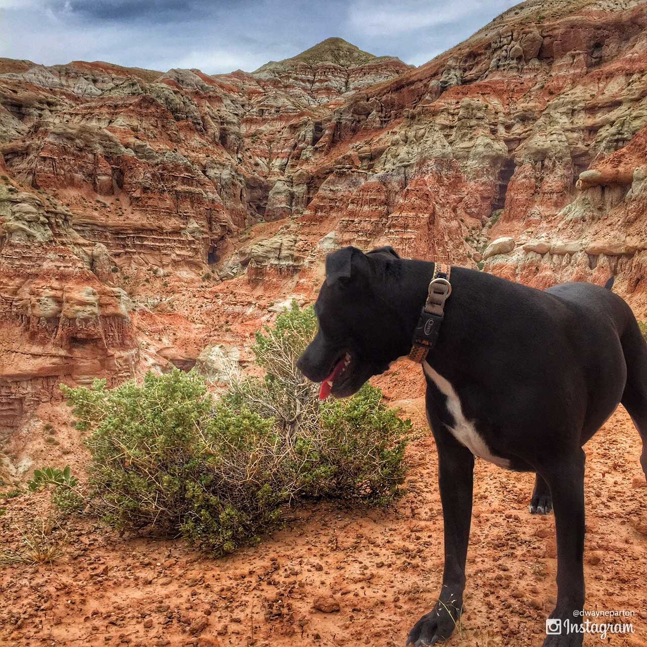 box_canyon_dubois_wyoming