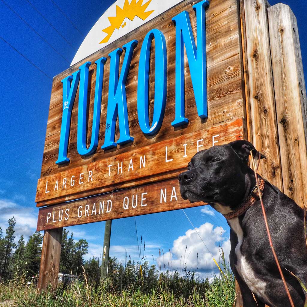 we_made_it_to_the_yukon