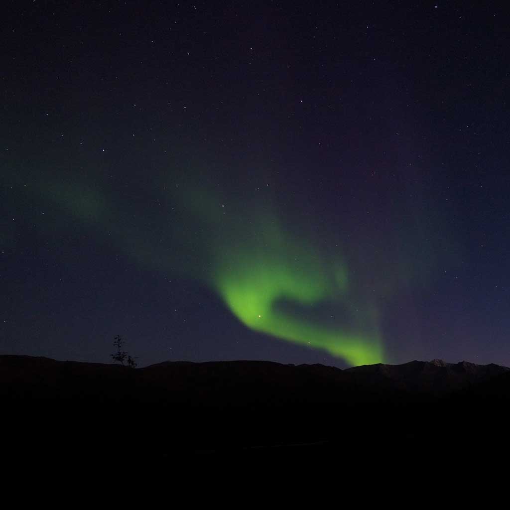 the_nothern_lights_near_coldfoot