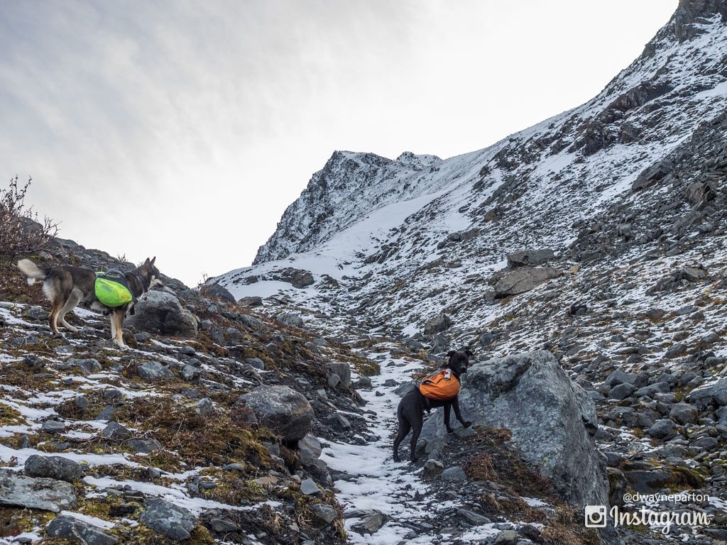 Hiking Up Crow Pass