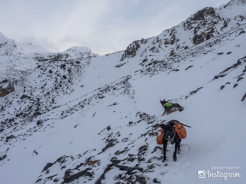 Snow Covered Crow Pass Trail