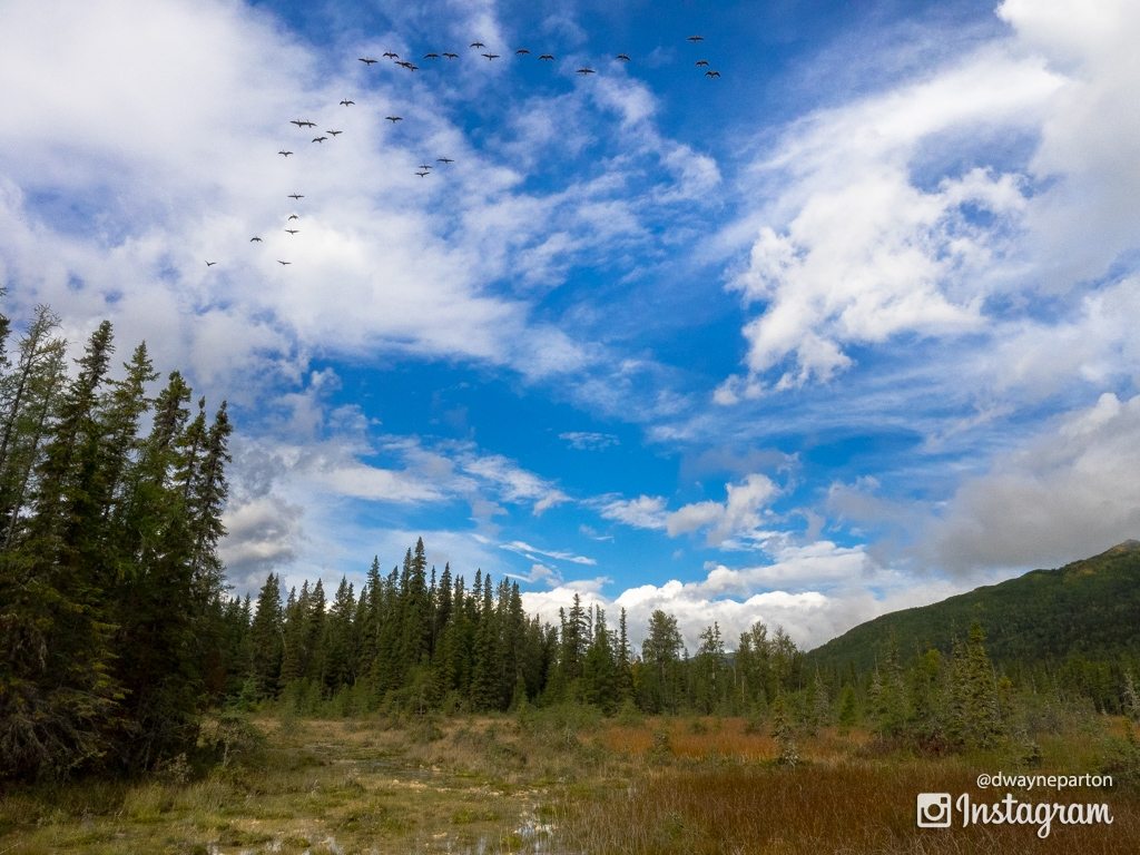 Driving the Alaskan Highway