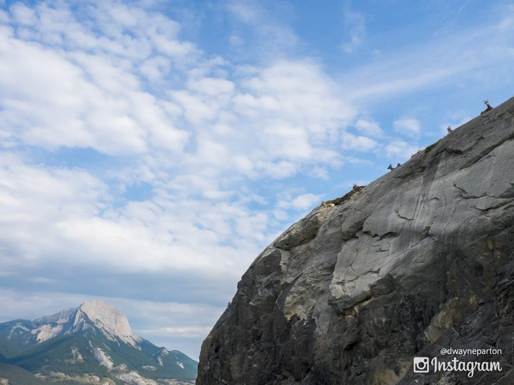 Sheep resting on a cliff